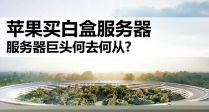 苹果买白盒服务器 服务器巨头何去何从?